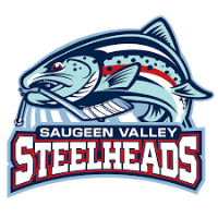 Saugeen Valley Minor Hockey
